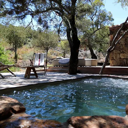 Domaine Les Oliviers De Palombaggia