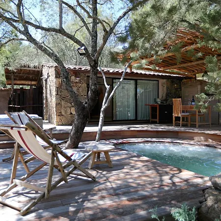 Domaine Les Oliviers De Palombaggia Porto-Vecchio (Corsica)