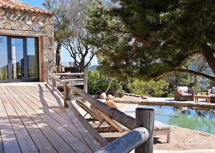 Domaine Les Oliviers De Palombaggia